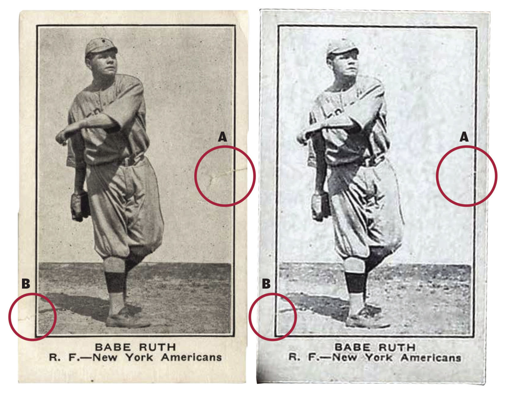 Ruth Shotwell comparison